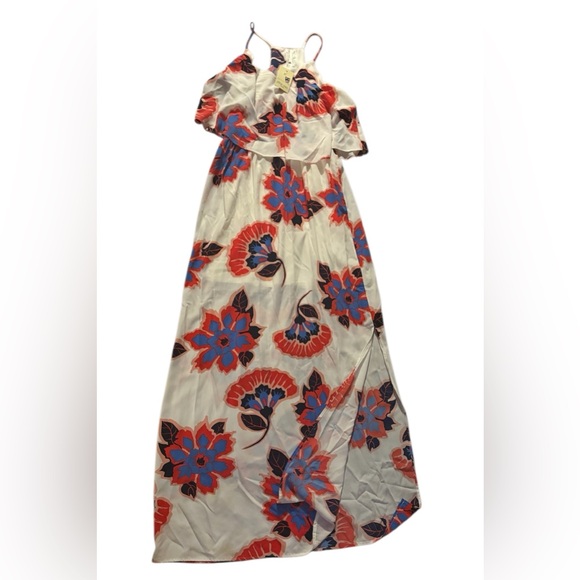 Pink Owl Boutique Floral Maxi Dress - Picture 2 of 4